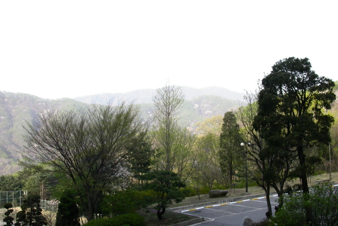 DSCN8125.JPG